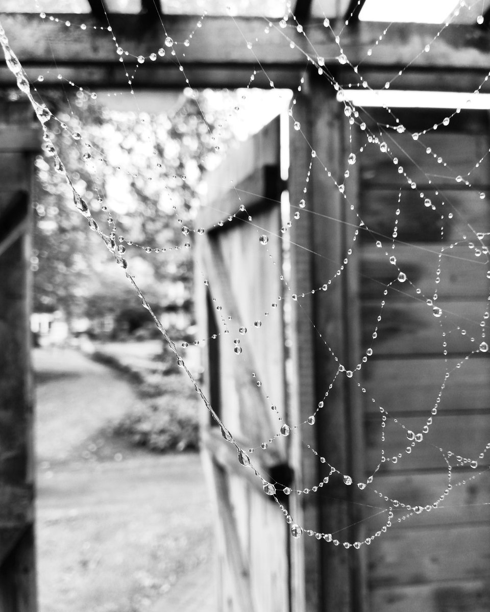 First autumn shots of the year 🍂 #photochallenge