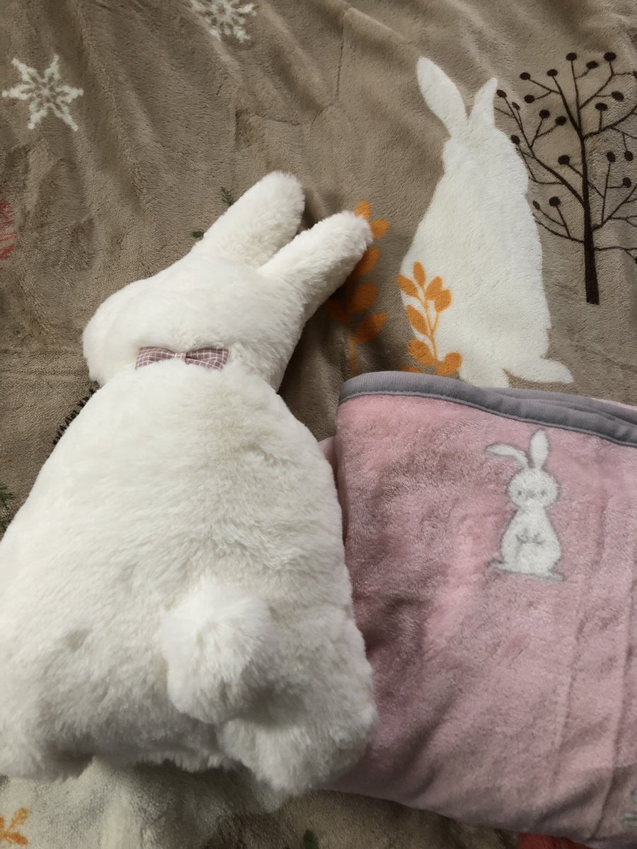 Marie A Twitter 急に冷え込むようになったので 布団カバーを買いにニトリのデコホームに直行 ソファで横になる時用の小さい毛布とクッションも見つけたので一緒に もふもふがすべすべで気持ち良い