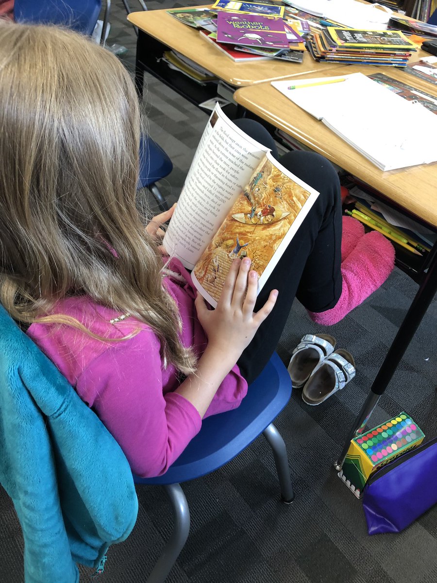 MrsGriffithBR's tweet photo. We are obsessed with our new Non-Fiction library shelves! So many cool topics- everyone found something they love! Excited to kick off our NF unit so we can read and research to expand our knowledge with these awesome new books🌱📰📕📖📝 @BradfieldBold @reginadumar https://t.co/Vmy0bZ7SjO