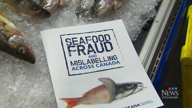 LifeScanApp's tweet photo. .@LifeScanApp has developed a #HomeScanner that allows consumers detect #FoodFraud.

Be sure to check out this interview by @CTVNews.
🔗https://t.co/yFdLX7ypmU

#WorldFoodDay #FoodSecurity #Research #WednesdayWisdom https://t.co/TyeTfQc8t4