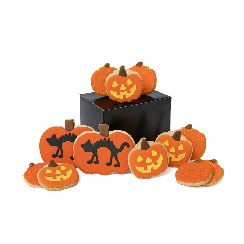 Our new pumpkin patch is a perilous place indeed! Beware of black cats on Halloween night.