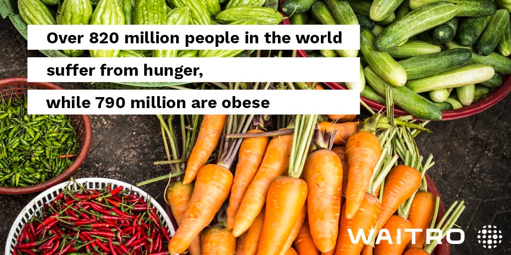 WAITRO's tweet photo. Today's #worldfoodday!
The @UN devoted this day to fighting world hunger and obesity, but also to raise awareness for the effects of unhealthy diets and malnutrition on our health and the consequences of our consumption for the environment.
#zeroworldhunger #SDG2 https://t.co/GT2FKC3dzz