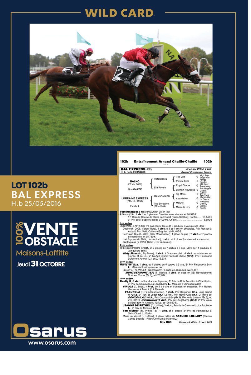 OsarusSales's tweet photo. 📌[ WILD CARDS] 🎩
4 chevaux rejoignent le catalogue de la Vente 100% Obstacle #MaisonsLaffitte ⬇️

Lot #102   MAXENCHOP
Lot #102a FIFTY BALL
Lot #102b BAL EXPRESS
Lot #102c INDIANA JONES

➡️Pedigrees, photos et vidéos sur https://t.co/EnFeJC8LYS 

@Jour_de_Galop @bloodstocknews https://t.co/ReNJSOEb03