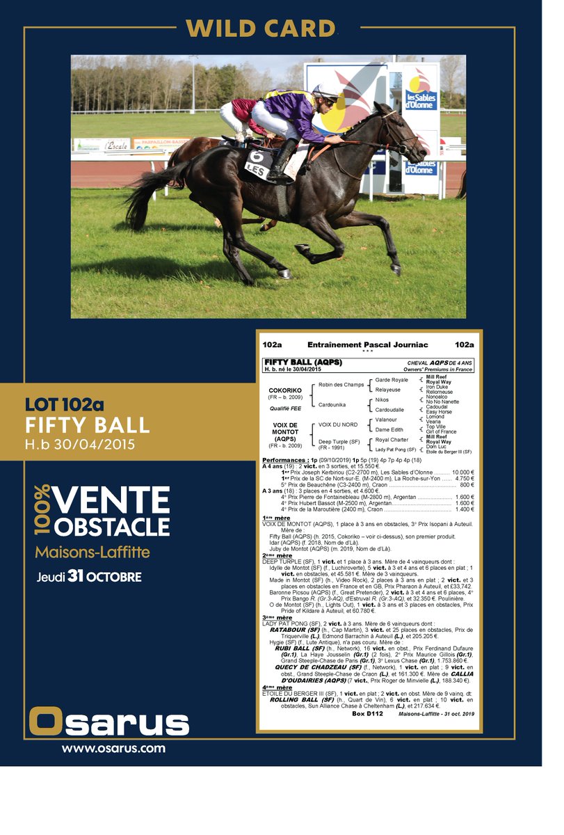 OsarusSales's tweet photo. 📌[ WILD CARDS] 🎩
4 chevaux rejoignent le catalogue de la Vente 100% Obstacle #MaisonsLaffitte ⬇️

Lot #102   MAXENCHOP
Lot #102a FIFTY BALL
Lot #102b BAL EXPRESS
Lot #102c INDIANA JONES

➡️Pedigrees, photos et vidéos sur https://t.co/EnFeJC8LYS 

@Jour_de_Galop @bloodstocknews https://t.co/ReNJSOEb03
