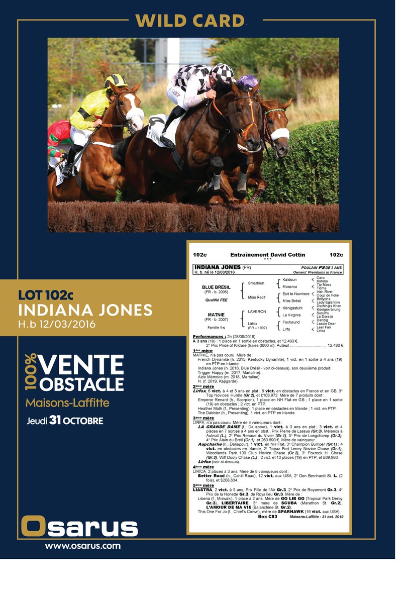 OsarusSales's tweet photo. 📌[ WILD CARDS] 🎩
4 chevaux rejoignent le catalogue de la Vente 100% Obstacle #MaisonsLaffitte ⬇️

Lot #102   MAXENCHOP
Lot #102a FIFTY BALL
Lot #102b BAL EXPRESS
Lot #102c INDIANA JONES

➡️Pedigrees, photos et vidéos sur https://t.co/EnFeJC8LYS 

@Jour_de_Galop @bloodstocknews https://t.co/ReNJSOEb03