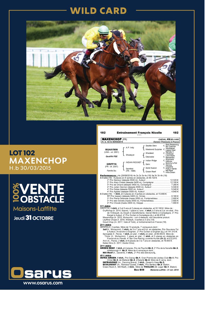 OsarusSales's tweet photo. 📌[ WILD CARDS] 🎩
4 chevaux rejoignent le catalogue de la Vente 100% Obstacle #MaisonsLaffitte ⬇️

Lot #102   MAXENCHOP
Lot #102a FIFTY BALL
Lot #102b BAL EXPRESS
Lot #102c INDIANA JONES

➡️Pedigrees, photos et vidéos sur https://t.co/EnFeJC8LYS 

@Jour_de_Galop @bloodstocknews https://t.co/ReNJSOEb03