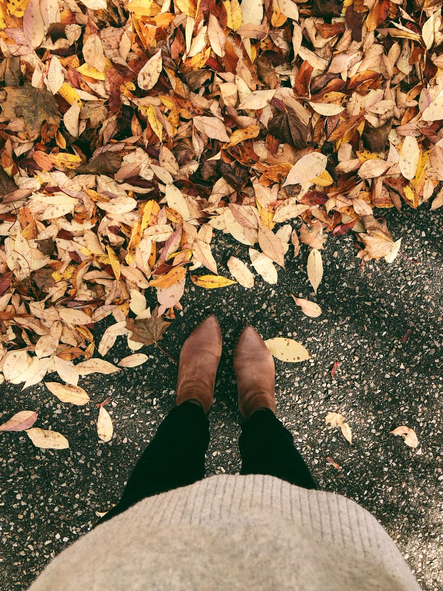 Vanda Frak | Writer tweet media