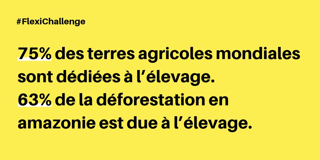 placepublique_'s tweet photo. La croissance de la consommation de viande depuis un demi siècle fait que 3/4 des terres agricoles sont dédiés à l'élevage. Et ce n'est pas suffisant, alors on coupe toujours plus de forêts.
#2FoisMoins2Foismieux #Flexichallenge #AvantQuilNeSoitTropTard #OnVeutDesLucioles https://t.co/dVMuNJGnHt