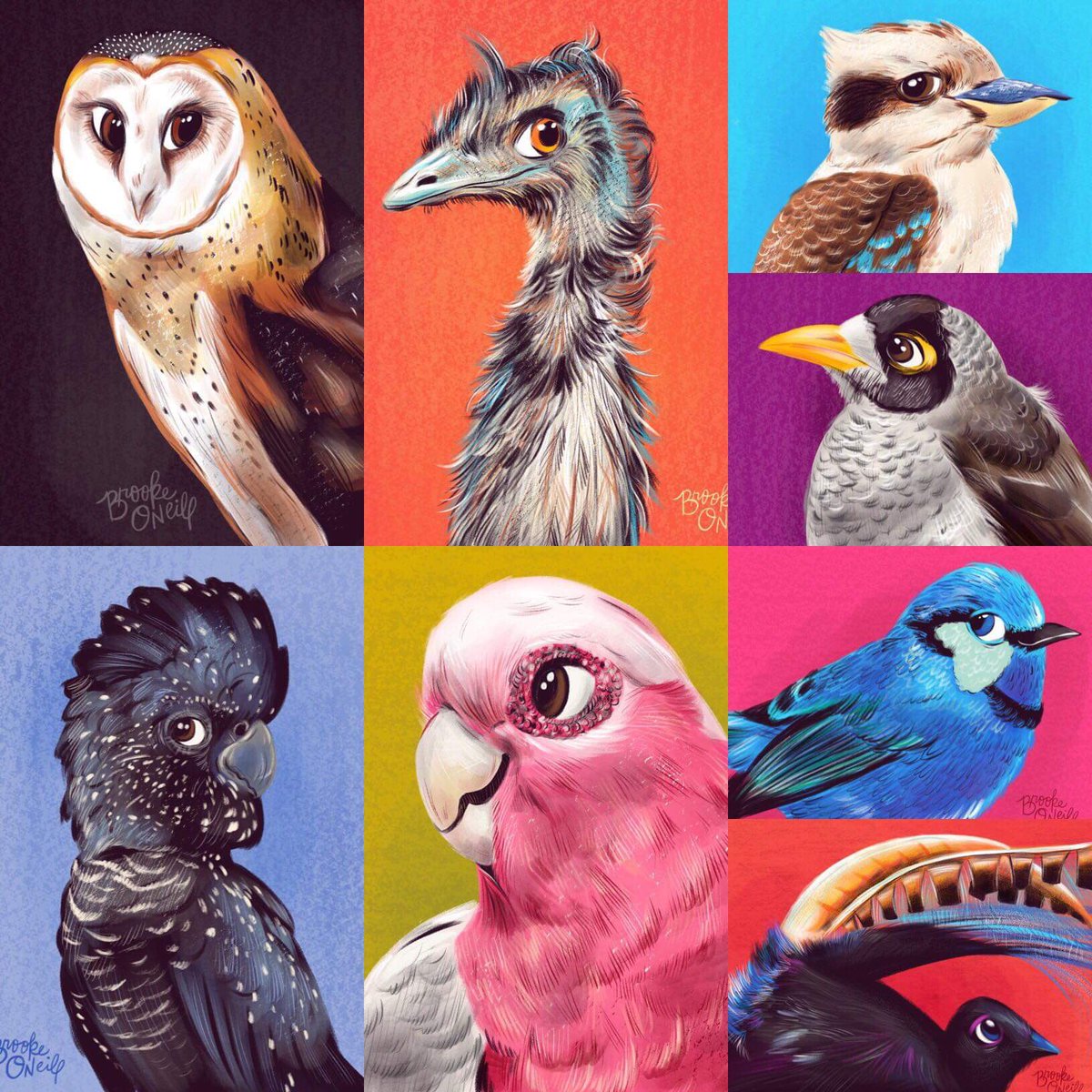 My bird drawings! Give me a follow on Instagram for more art ❤️ brookeoneill.illustration #birds #birdart #birdillustrations #illustrations #digitalart