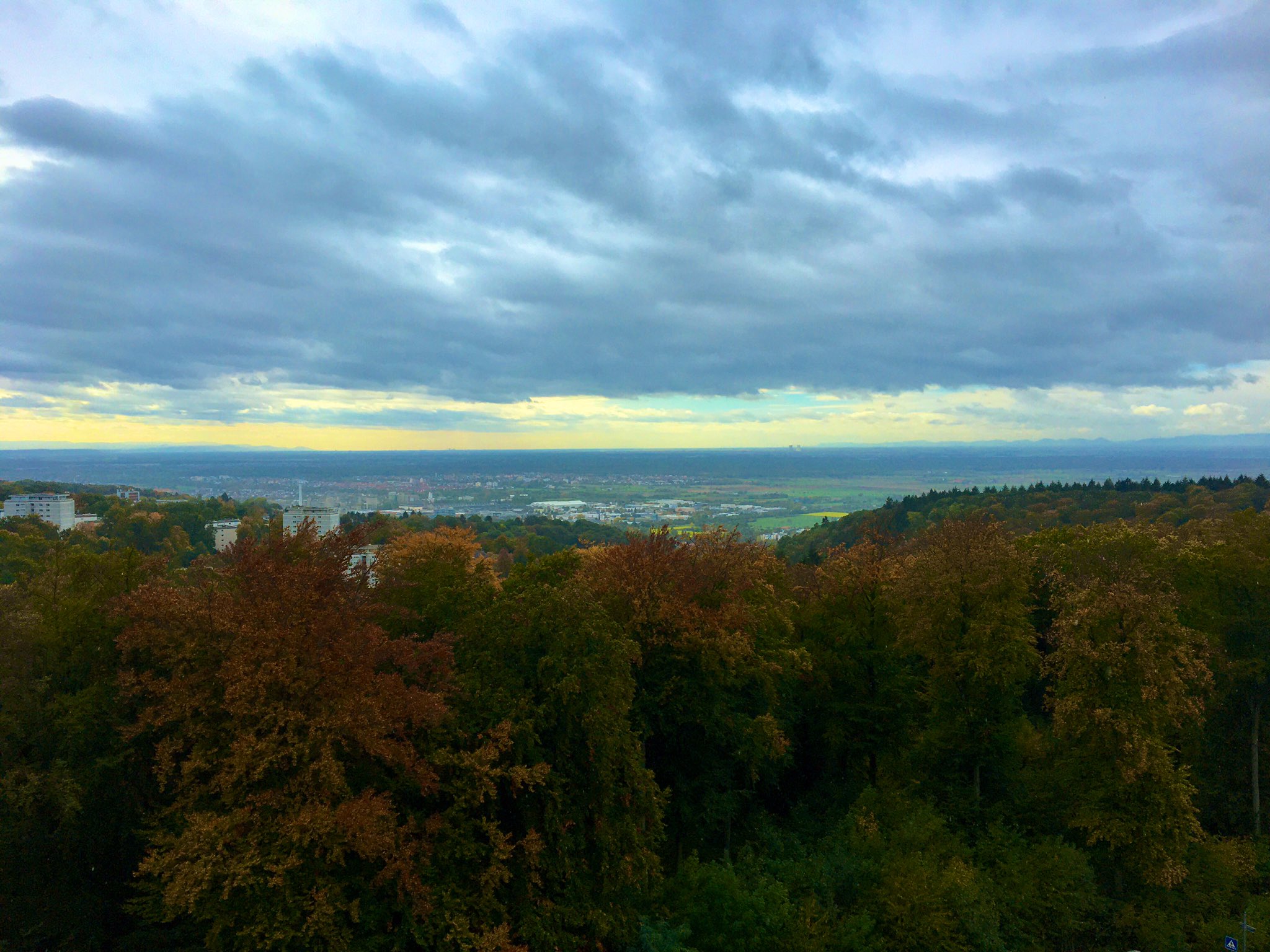 View from a high building across trees and moody sky