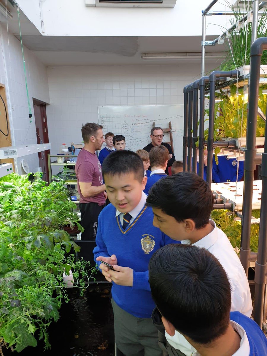 2nd year trip to Belvedere Urban Farm. Thanks so much to Simon and the Belvedere crew who are always so accommodating and welcoming.