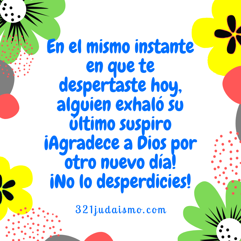 321Judaismo's tweet photo. Se agradecido: #Gracias #Agradecimiento #Respiro #BuenDia #BuenosDias #בוקרטוב #GoodMorning #Reconocimiento #Gratificacion #Recompensa #Agrado #Dios #God #Elohim #Elokim #321judaismo #AprenderJudaismoEnEspañol #Derroche #Despilfarro #Desaprovechamiento https://t.co/ujsSEYPMuf