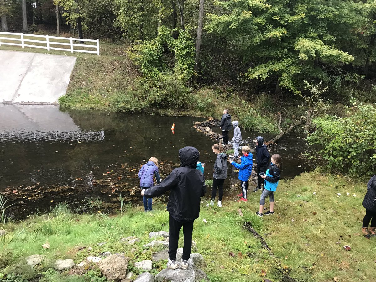 GaskinShaun's tweet photo. Hudson 7th graders looking for macro invertebrates and determining the health of the stream. https://t.co/NmVcph2TGr