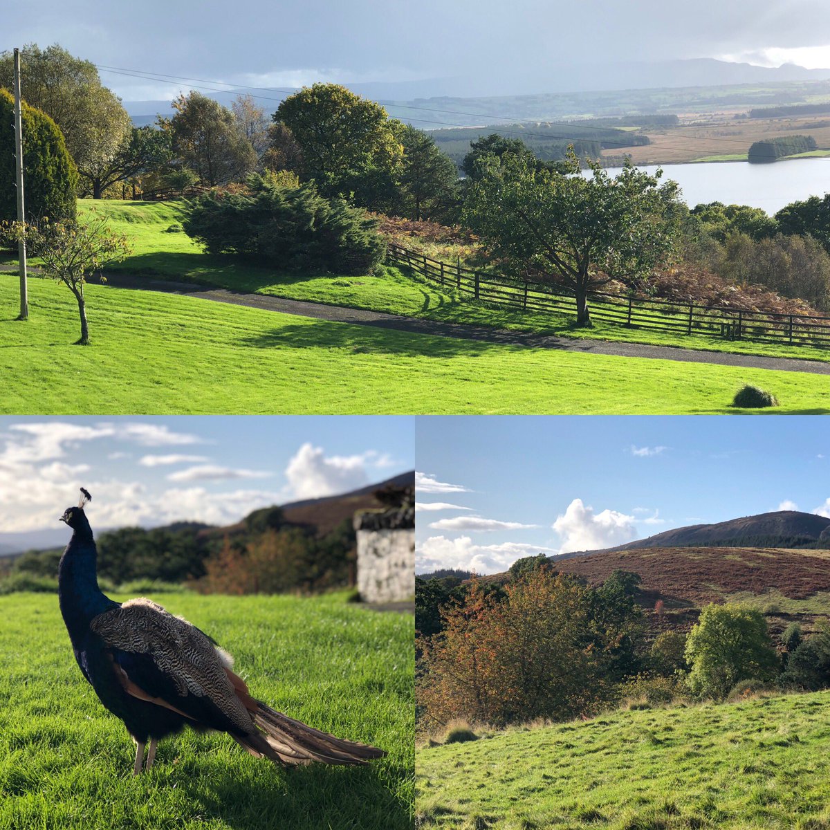 Half Term Weather Bliss