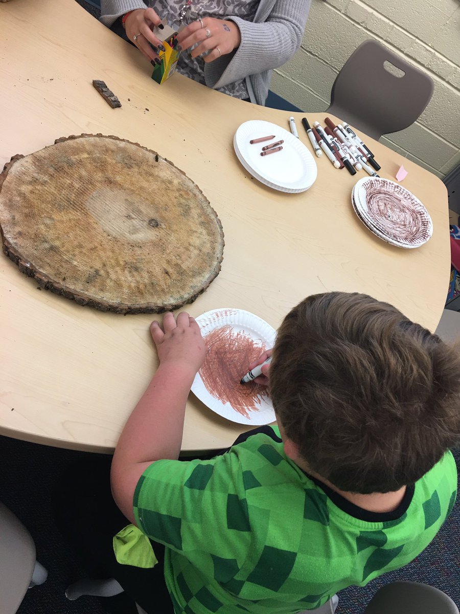 Today as arborists, Ss explored tree cookies and made tree cookies to represent their age like tree cookies represent the tree’s age. #mountrockengaged #bssdproud