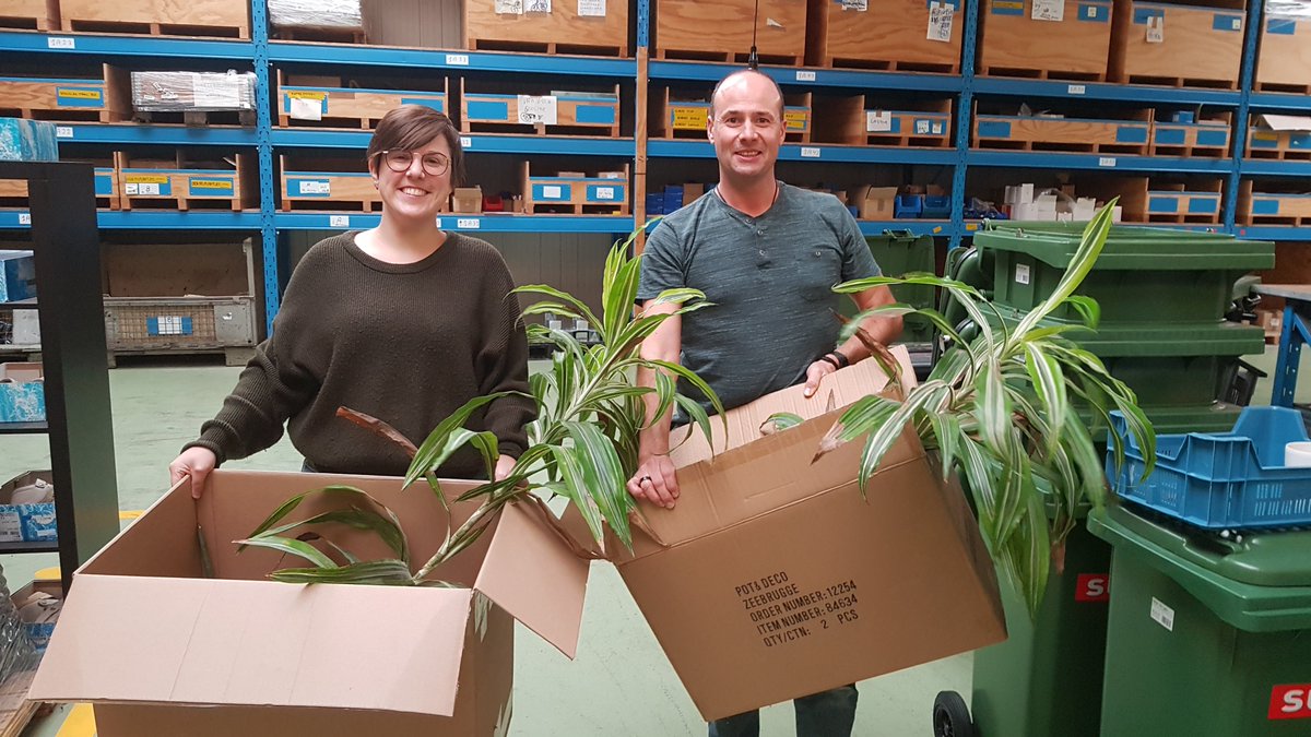 sulo_benelux's tweet photo. Even our 'old-plants' can be reused &amp; recycled. 🌿
Thanks to these colleagues, these plants will get a second life! ♻️ https://t.co/EsTlWc74mt