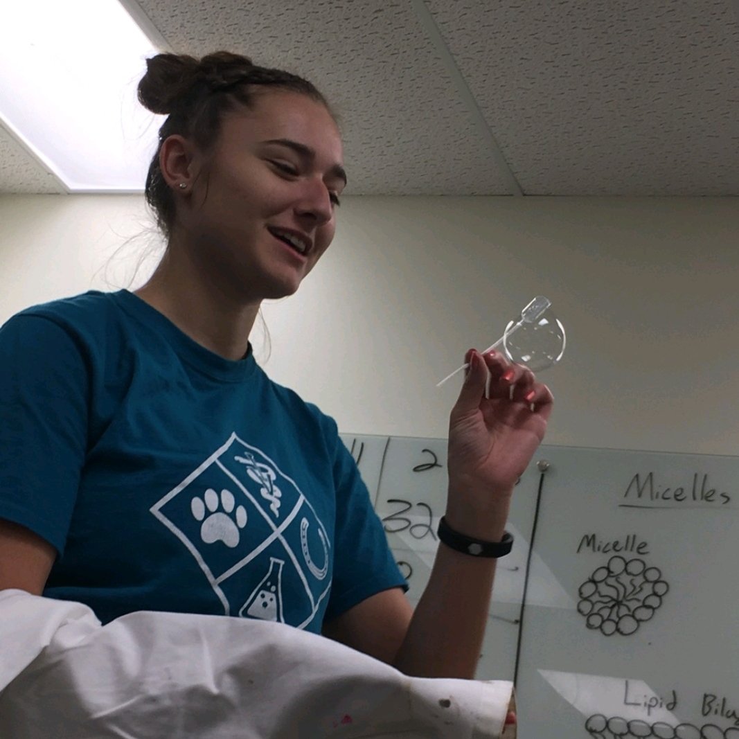 chemclubcsu's tweet photo. We had such a great time #bouncingbubbles this week! Can't wait to see you all again in a couple of weeks! https://t.co/etwZ8YFQjY