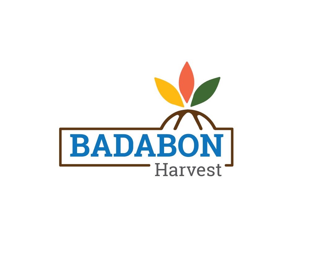 Badabon Harvest tweet media