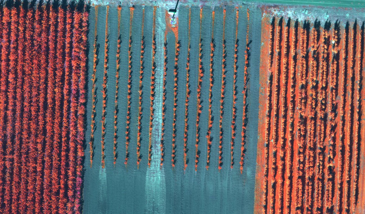 DroneMapper tweet media