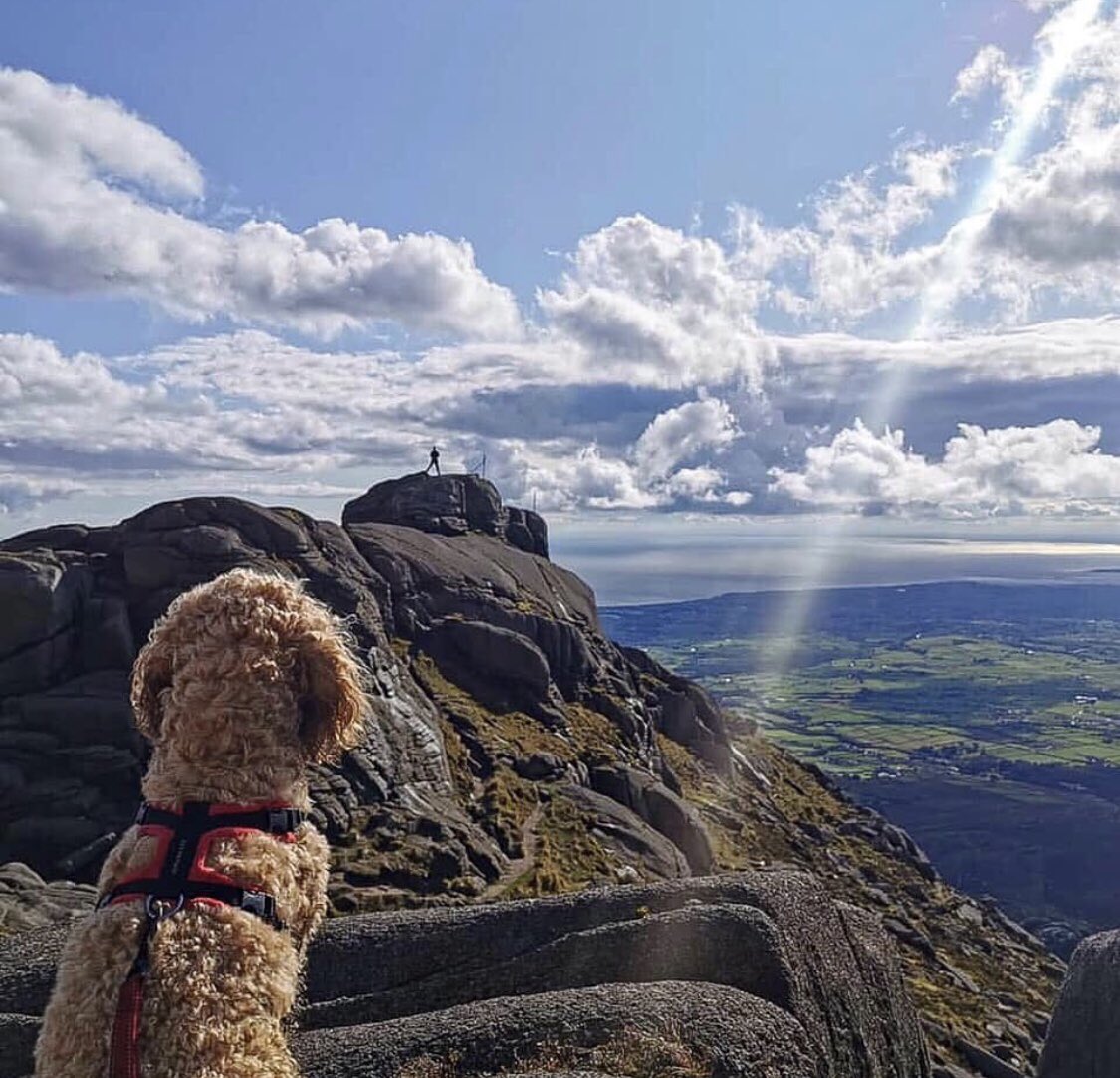 “Hike more, worry less.” 📸 Wise words and a view from the top of Slieve Binnian. (IG: @teachingtailsdogtraining) #lovemourne #mournemountains