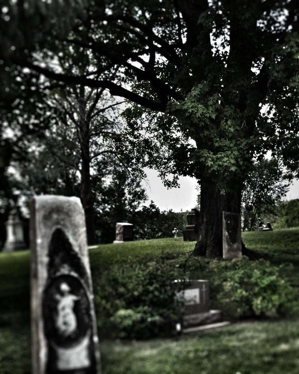 Low ticket alert! Get your Gothic HistoryTour tickets now. We are sold out on the 25th and we only have 3 open slots on the 18th and 12 open slots on the 19th.
Photo by Polly Partain