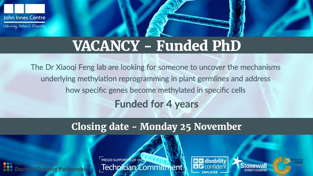John Innes Centre (@johninnescentre) on Twitter photo FUNDED PhD - The Dr <a href="/XiaoqiFeng_m/">Xiaoqi Feng</a> lab are looking for someone to uncover the mechanisms underlying methylation reprogramming in plant germlines and address how specific genes become methylated in specific cells okt.to/nm8dJk FUNDED PhD - The Dr <a href="/XiaoqiFeng_m/">Xiaoqi Feng</a> lab are looking for someone to uncover the mechanisms underlying methylation reprogramming in plant germlines and address how specific genes become methylated in specific cells okt.to/nm8dJk