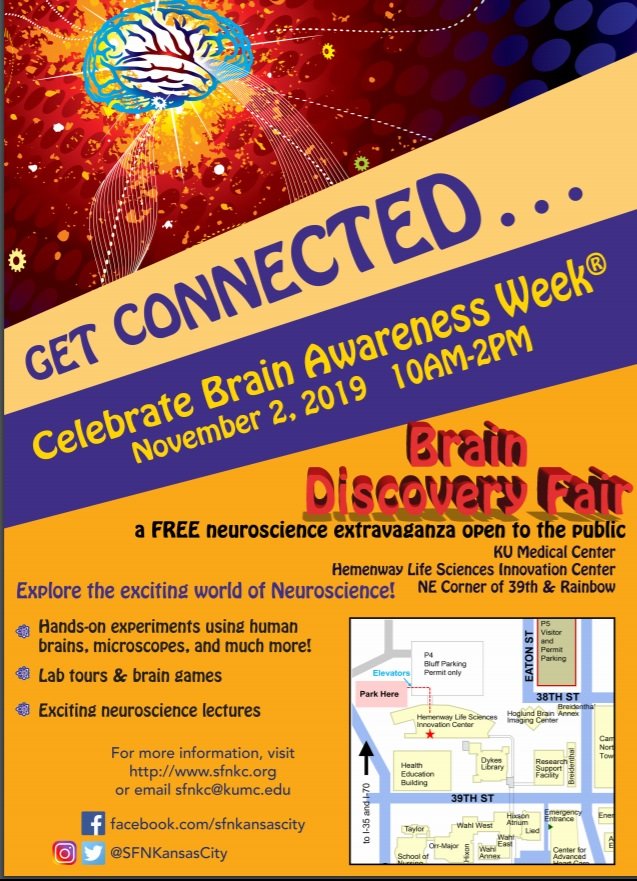 We are 16 days away from the 2019 Brain Discovery Fair! Learn more by checking out this very informative flyer! #brains #science #SfN19 #kids #fun #kansascity #kumc