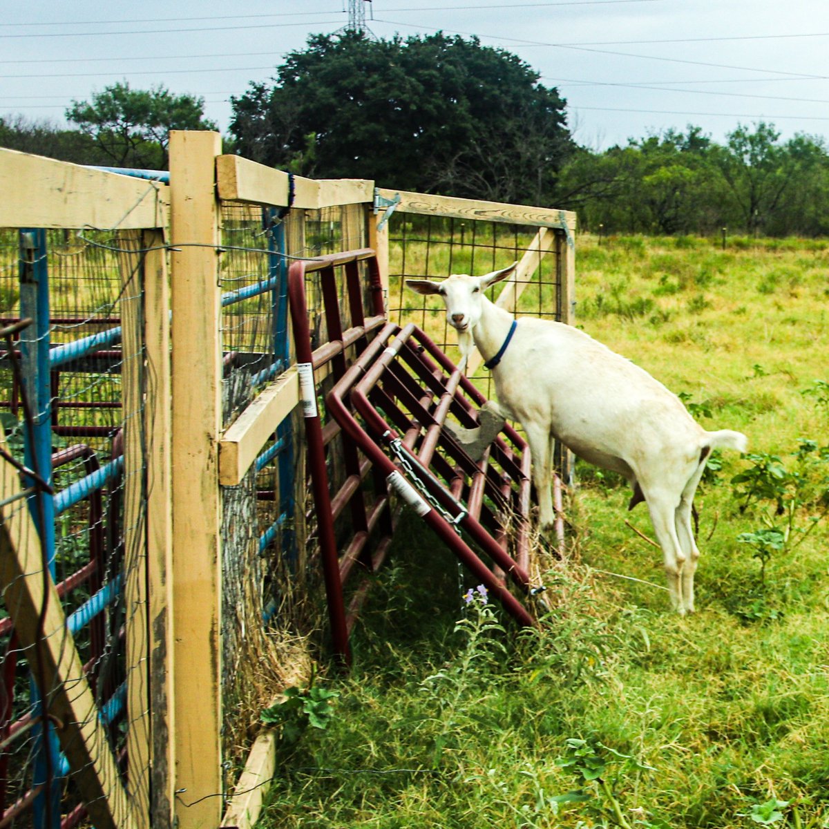 Here are some highlights from when we helped the World Hunger Relief organization. 
We offer a big "thank you" to all the farmers out there! #WorldFoodDay