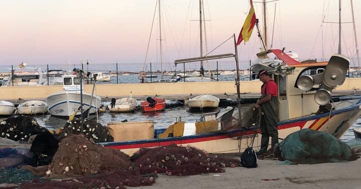 🔴 #EnDirecto

En el puerto de San Pedro del Pinatar, los barcos están amarrados. Hablamos con Jesús Gómez, patrón mayor de la <a href="/CofPescSanPedro/">Cofradía San Pedro</a>: "Tu medio se te va de las manos y eso te llena de rabia. Lo habíamos avisado y, al final, ha explotado". 

👉 rtve.es/radio/radio-na…