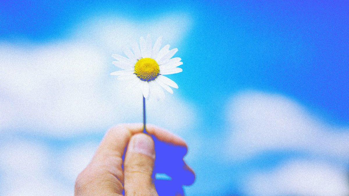 MelodyBeattie's tweet photo. A psychology professor explains why gratitude may be one of the most efficient ways of living a virtuous life. https://t.co/yDj725uAiT https://t.co/wGGlKhp0sJ