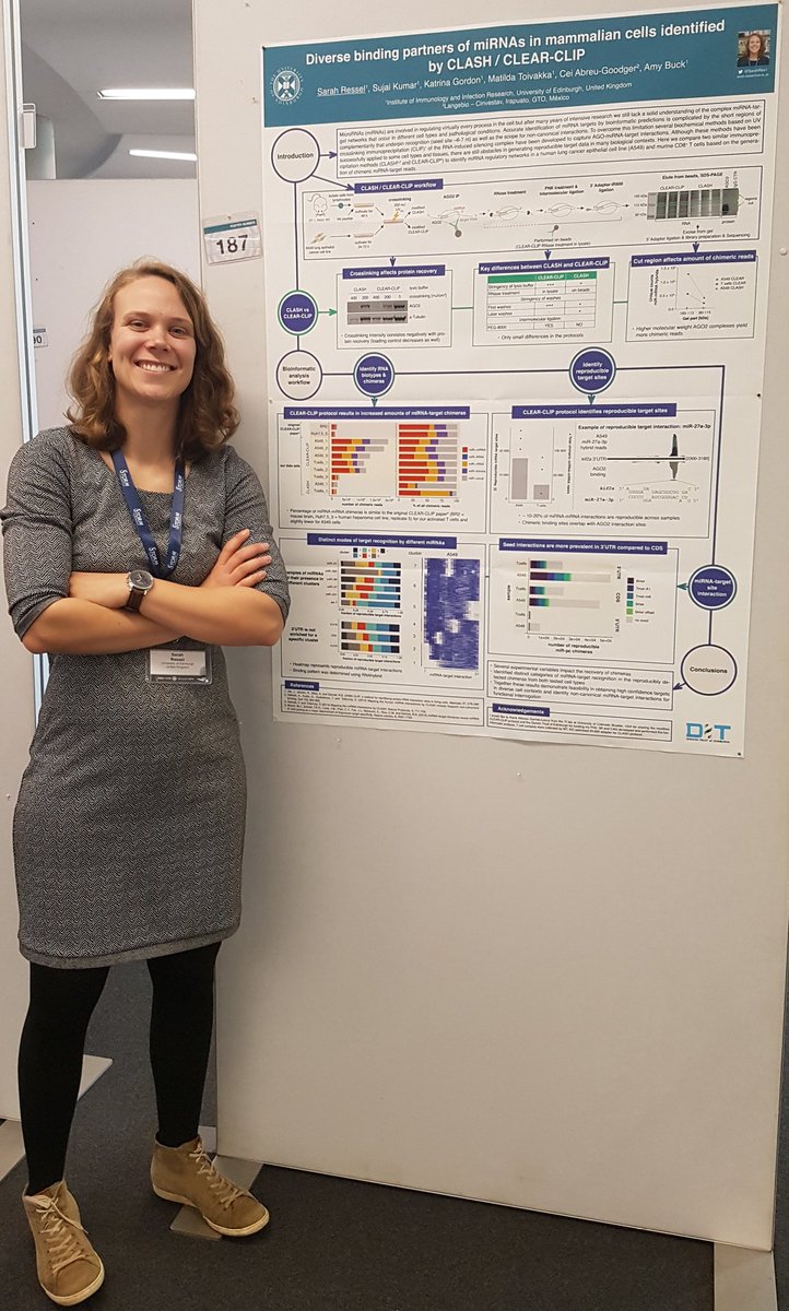 Are you interested in identifying miRNA targets in mammalian cells? Come and talk to me at poster 187!
#EESNoncoding