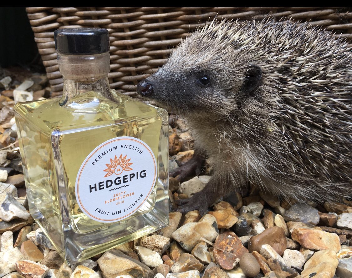 SuzanneGeurts's tweet photo. Een prikkelende gin, waarvan een deel van de opbrengst naar de #egel-bescherming gaat. In Engeland doen ze 't gewoon. Ik zie een buitenkans voor de buurman, @NOLETSGins. #schiedam #gincity https://t.co/5ztpEyIGxB