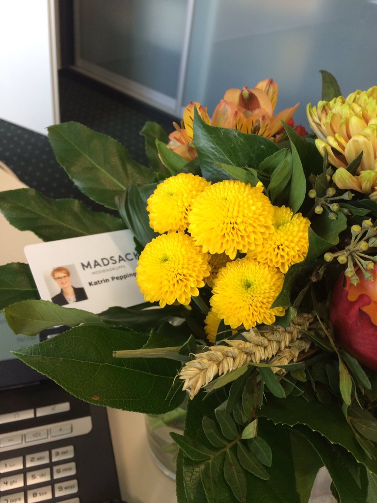 Auf geht‘s! #neuerJob #madsack #BusinessIntelligence