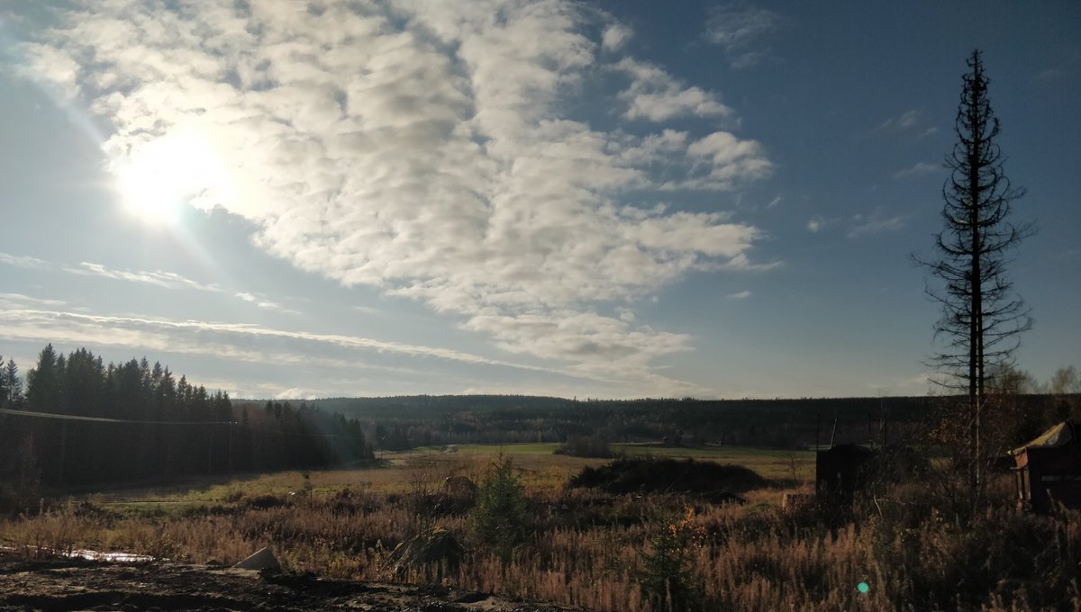 petterivirtane5's tweet image. Avoimet ovet tänään Valtimolla. Maitomestari Mono näytti kiinnostavan. Ei ollut moittimista maisemassakaan. #gea_farming #mestarifarmi #dairyrobot #monobox