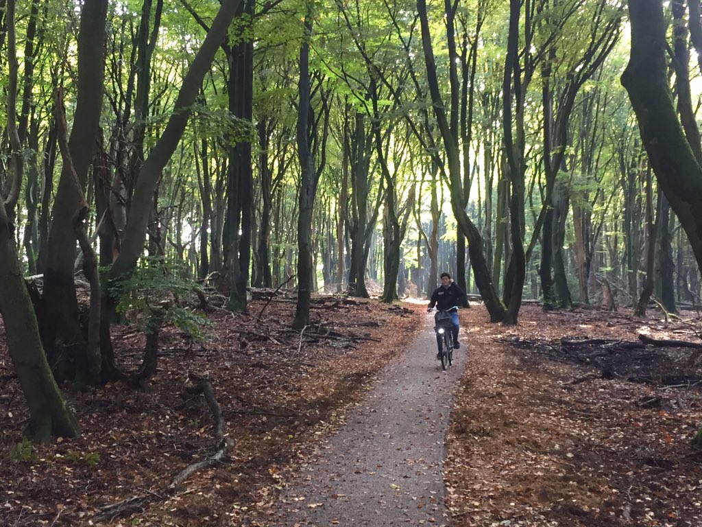 Fietsen in het #Speulderbos kan nu haast niet mooier. De eerste herfsttinten komen en het blad dwarrelt langs je neer. Wat een woud. <a href="/visitveluwe/">VisitVeluwe</a> <a href="/Ermelobuitenlev/">VVV Ermelo Buitenleven</a> <a href="/staatsbosbeheer/">Staatsbosbeheer</a> #Herfst