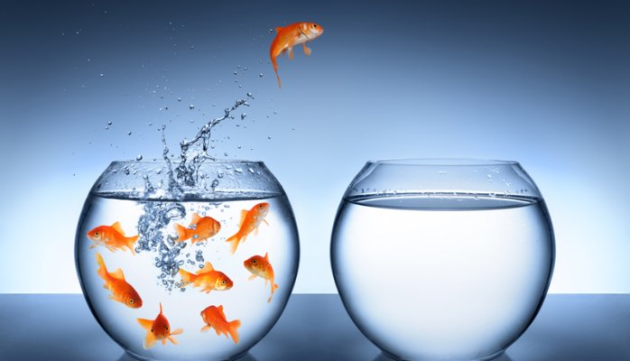 "Hope lies in dreams, in imagination, and in the courage of those who dare to make dreams into reality." - Jonas Salk was an American medical researcher and virologist who discovered and developed one of the first successful polio vaccines