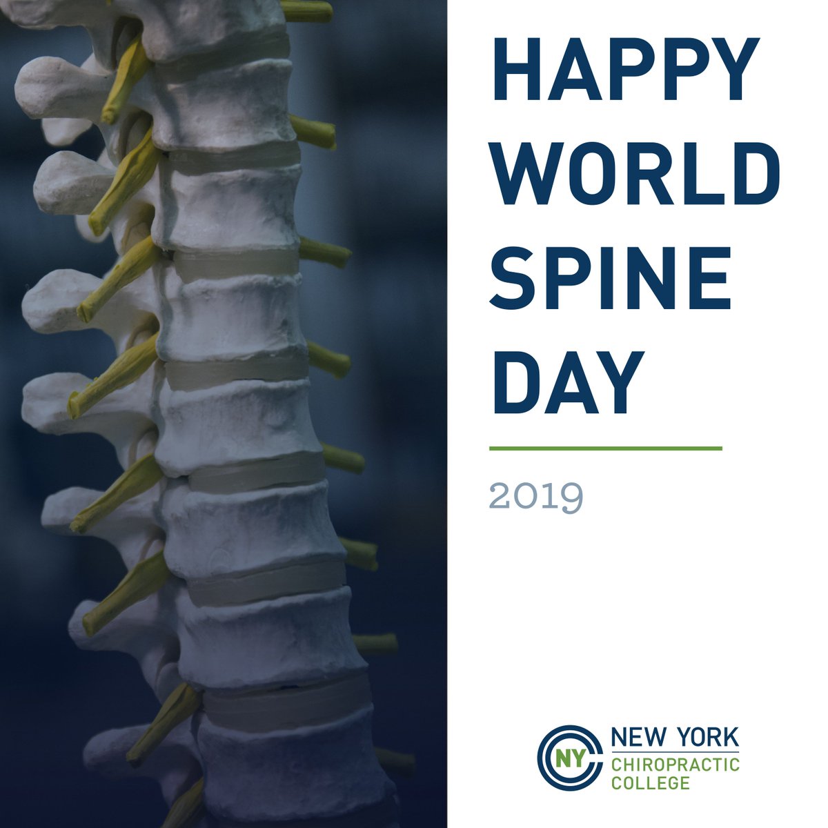 NortheastColl's tweet photo. A reminder from NYCC to be kind to your spine, today and every day! #GetSpineActive https://t.co/K9kgQ8k7GP