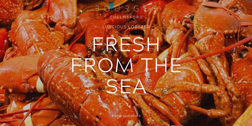 BourgeeUK's tweet photo. #Lobster fresh from the sea to your plate!
Just one of the succulent selections available at #Bourgee #Chelmsford - opening tomorrow at 6pm!
Book your table now: https://t.co/L2bH403C1r https://t.co/C0W4O01qLn