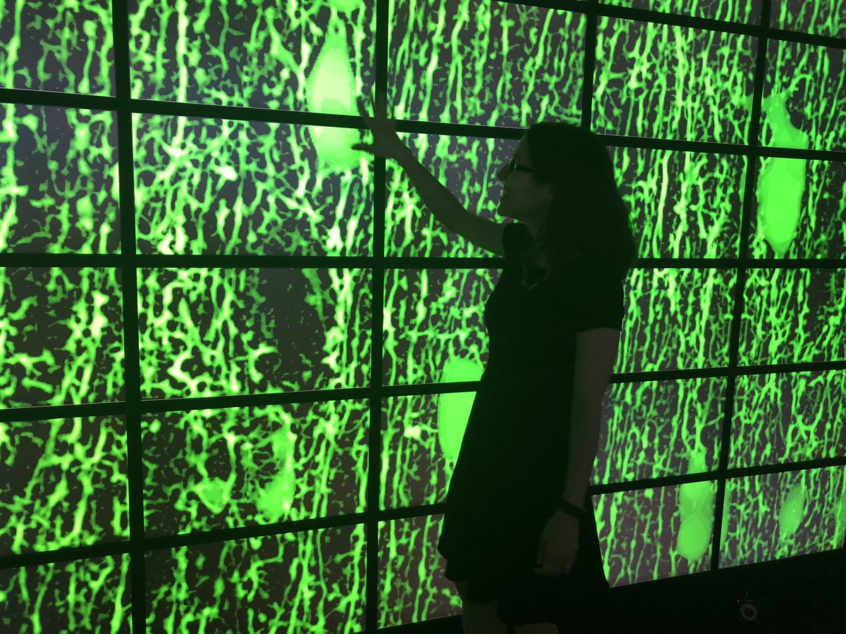 CEASSBU's tweet photo. Prof. Christine DeLorenzo in our @bmestonybrook dept. is using Imaging and AI to identify the source and better treatments for Alzheimer's with $4.3M from @NIH. @AI_SBU @IEDMSBU #EngineeringDrivenMedicine #RealityDeck @stonybrooku. Learn more: https://t.co/tzCqQOaFq3 https://t.co/GGKHip33AF