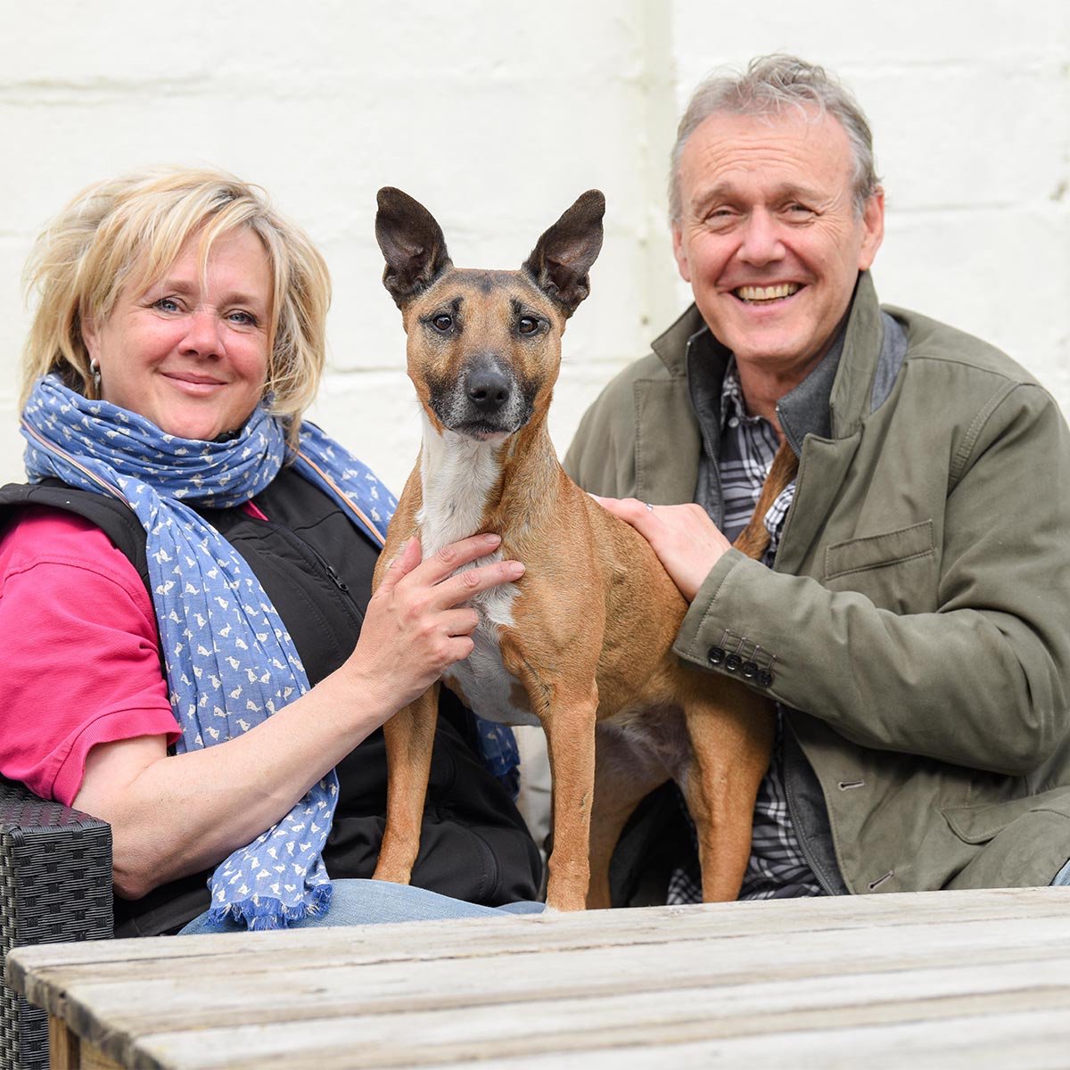 Our Battersea Ambassadors all agree that Rescue is their favourite breed.💙