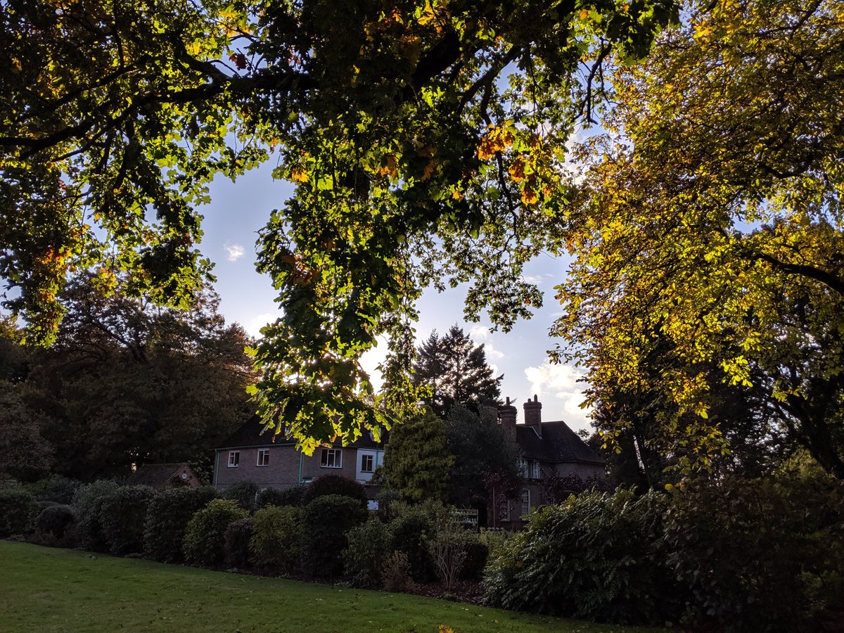 NTNuffieldPlace's tweet photo. Yesterday's afternoon sunshine was a welcome sight after the rain, with vibrant flowers and autumnal colour all around.
#nuffieldplace #autumn #nationaltrust https://t.co/XSitutcr8e