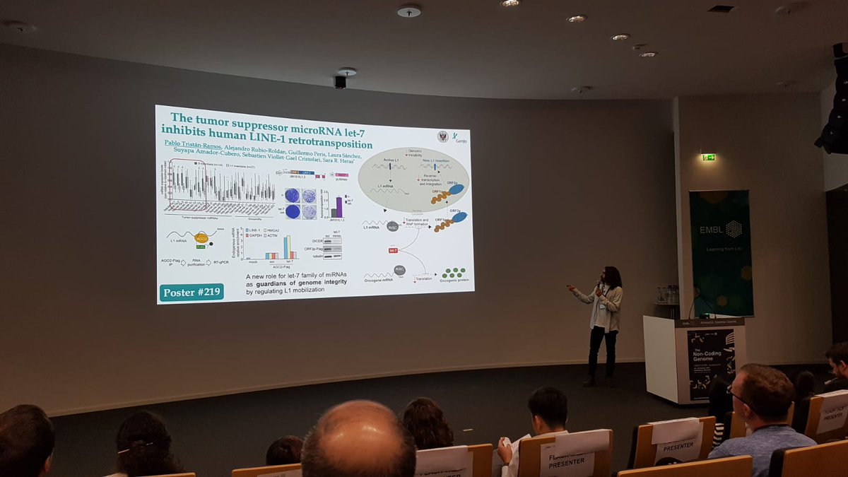 If you found this story about mobile elements and miRNAs interesting, remember to visit poster 219!
#EESnoncoding