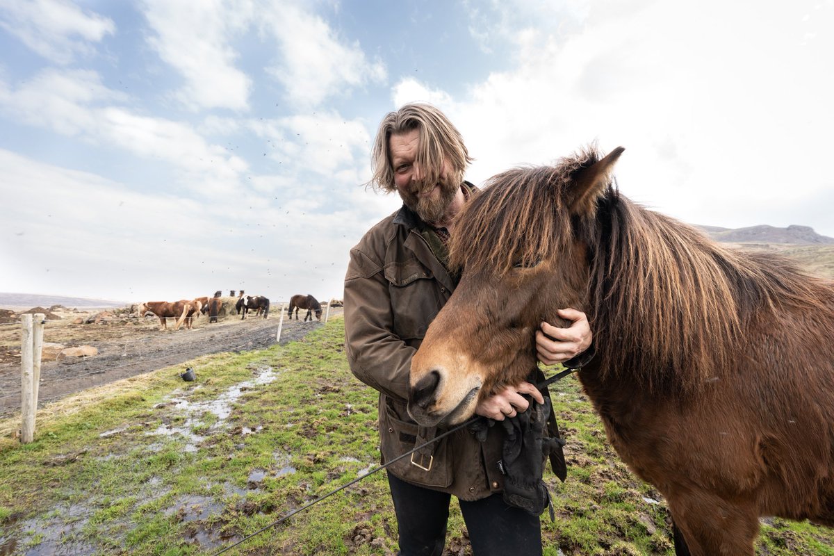 🐴 Riding tour in the Secret Valley and lunch with the local horse farmer. 🤗🍽️ Not far away from Reykjavík City Center is a valley, hidden from the highway, away from civilization. 
Book your tour here: 👉ow.ly/U2pX50wMMVt 👈