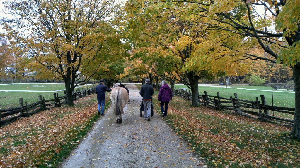 Alison Chornobaj (@achornobaj) on Twitter photo The dream happened...got to walk a horse at Hope Haven. Amazing program happening in BMHS Life Skills <a href="/BMarauders/">BMHS</a> <a href="/SCDSB_Schools/">Simcoe County District School Board</a> <a href="/DH_scdsb/">Daryl Halliday</a> The dream happened...got to walk a horse at Hope Haven. Amazing program happening in BMHS Life Skills <a href="/BMarauders/">BMHS</a> <a href="/SCDSB_Schools/">Simcoe County District School Board</a> <a href="/DH_scdsb/">Daryl Halliday</a>