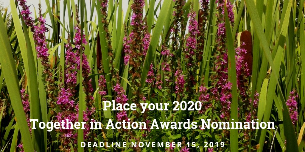 One month to go! ISCBC's Together in Action Awards recognize leadership, innovation and collaboration in the field of #invasivespecies in BC. Nominations due by Nov 15! ow.ly/F8Bs50wEPsx #BCinvasives #TakeAction