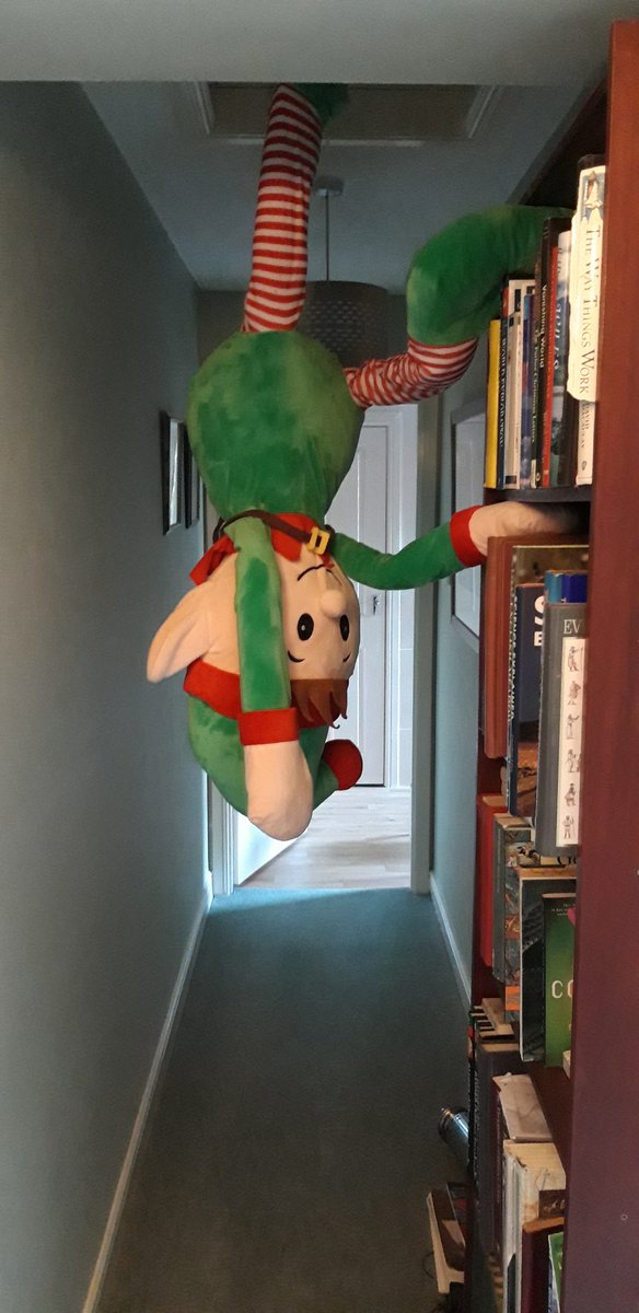 inchfadmike's tweet photo. @bgpmoss did you move Waffle's ladder or was it one of the others @KiffsBlueted @GreenPurpleBear @scary_bear_ https://t.co/xJuNcRLJLl