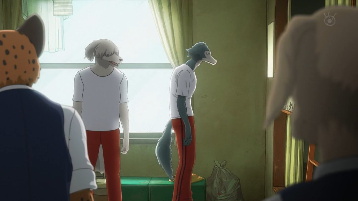 Beastars 第2話 感想 うさぎのハルちゃんちっちゃいけど経験あるお姉さん Beastars 第2話 感想 うさぎのハルちゃんちっちゃいけど経験あるお姉さん
