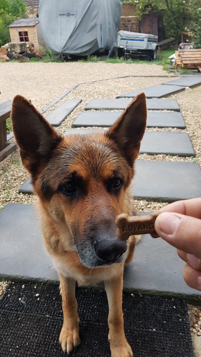 Merci #trndfrance
Il adore