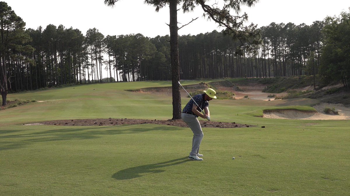 SteveBuzzaGolf's tweet photo. The @tobaccoroadgolf playing vlogs continue this evening on my YouTube channel ๐๐๐ #BuzzaGolf https://t.co/ggUR2gkfNj