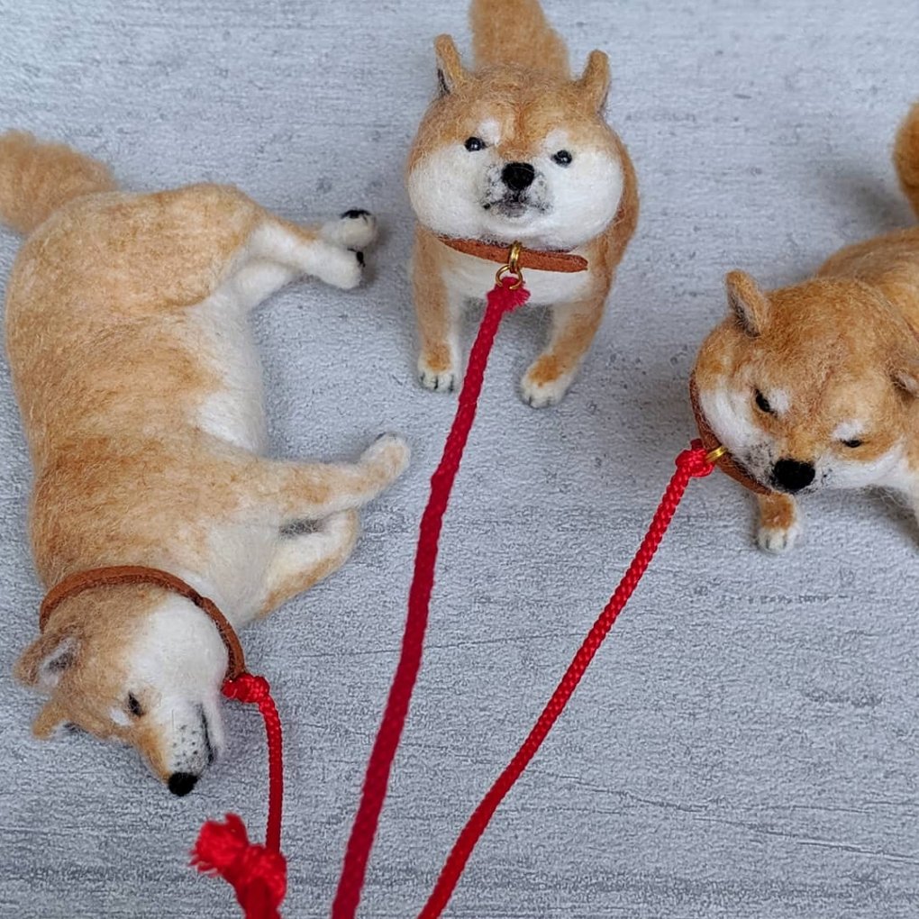 Twoucan 帰宅拒否柴犬 の注目ツイート イラスト マンガ コスプレ モデル Twoucan 帰宅拒否柴犬 の注目ツイート イラスト マンガ コスプレ モデル